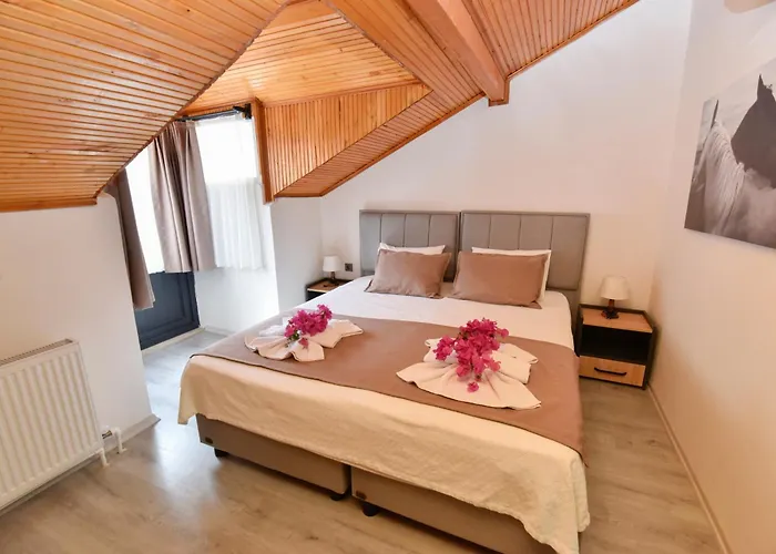 فندق مبيت وإفطار Mykonut Boutique 2*