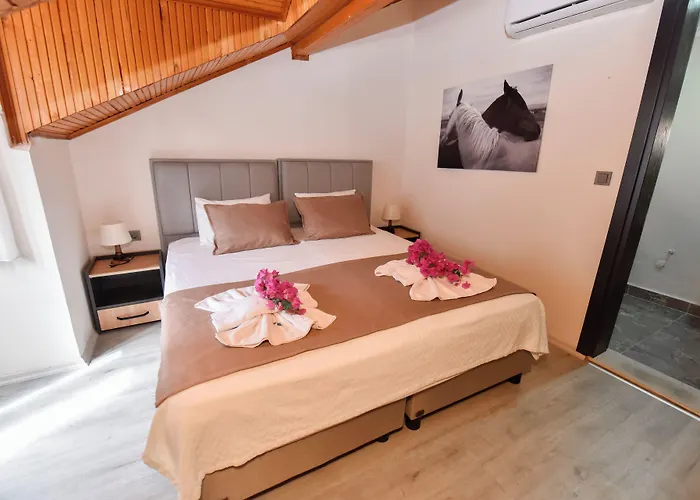 فندق مبيت وإفطار Mykonut Boutique 2*