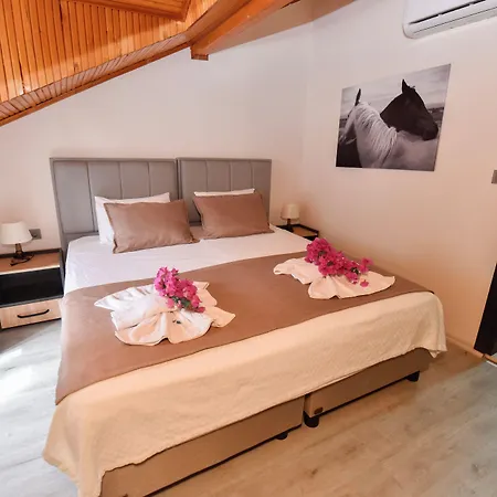 فندق مبيت وإفطار Mykonut Boutique 2*