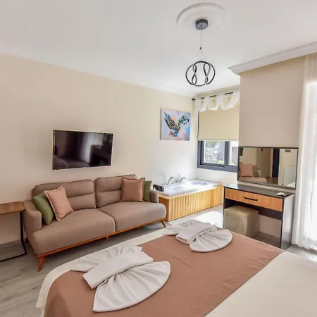 فندق مبيت وإفطار Mykonut Boutique 2*